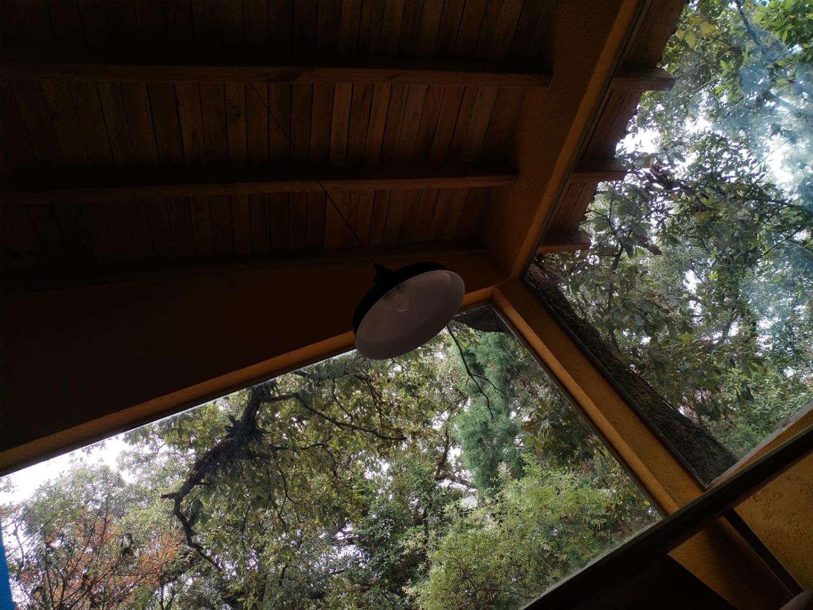 La Cabana Azul Al Fondo Del Bosque De Tepoztlán Dış mekan fotoğraf